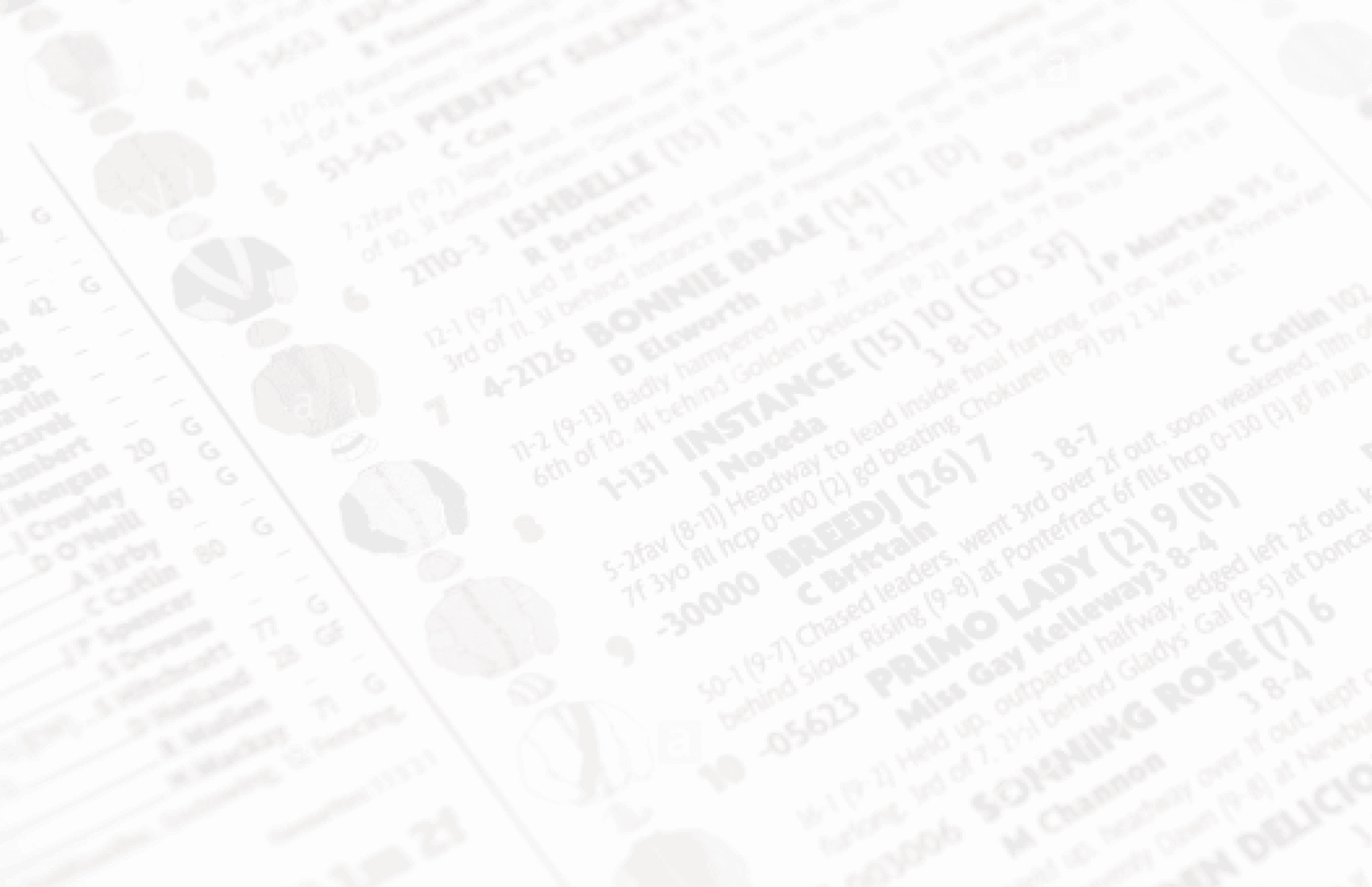 Horse Racing Form Guide